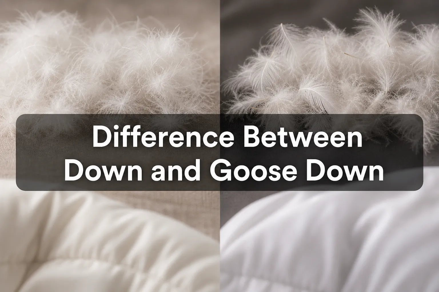 Difference Between Down and Goose Down - Warmy & Tummy
