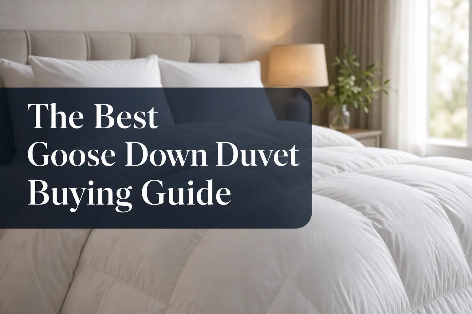 The Best Goose Down Duvet Buying Guide - Warmy & Tummy