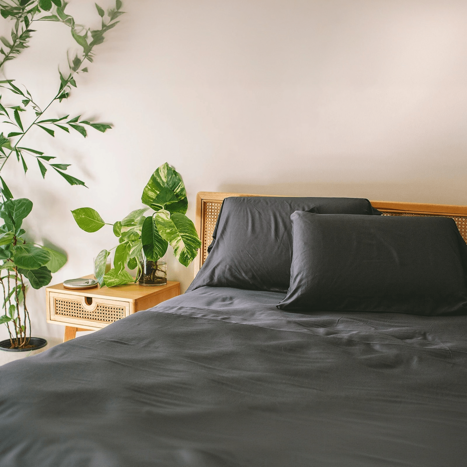 Shop Our Sheet Sets - Warmy & Tummy