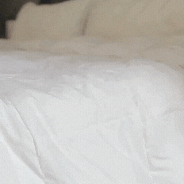 Organic Cotton Goose Down Comforter