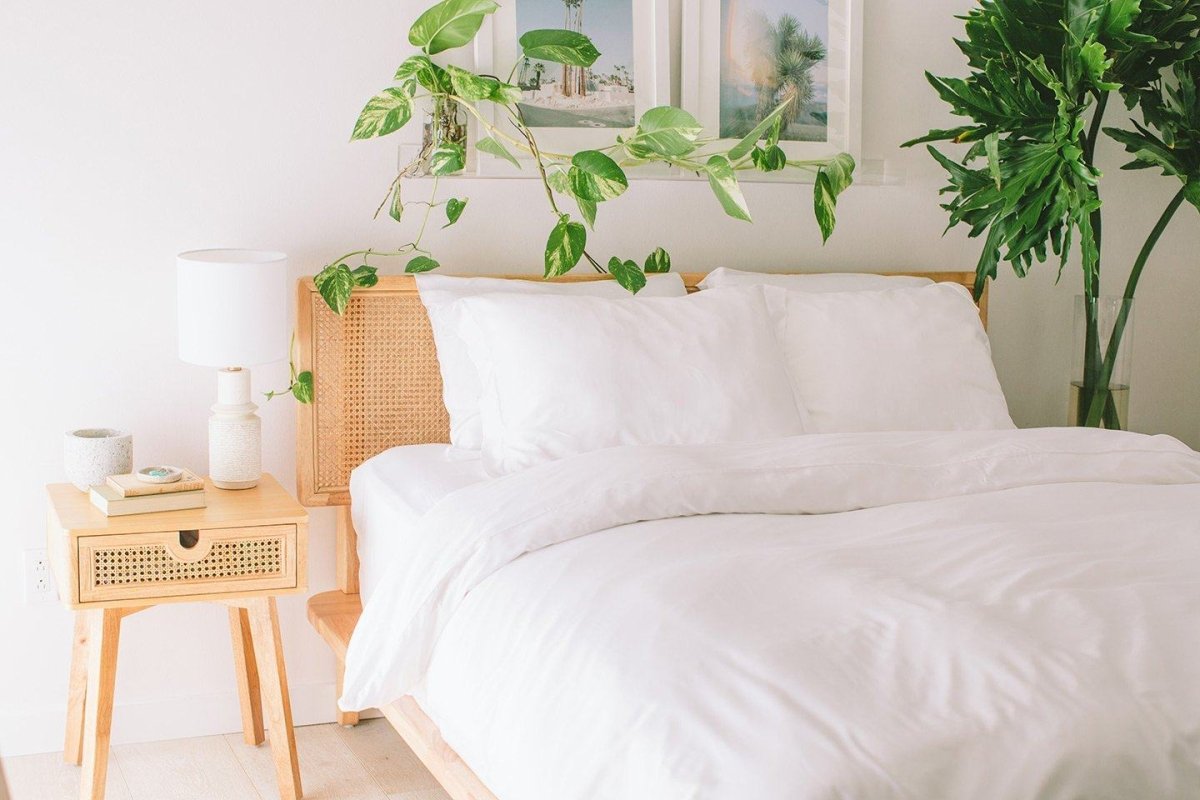 Bamboo Duvet Cover Set + Shams - Warmy & Tummy