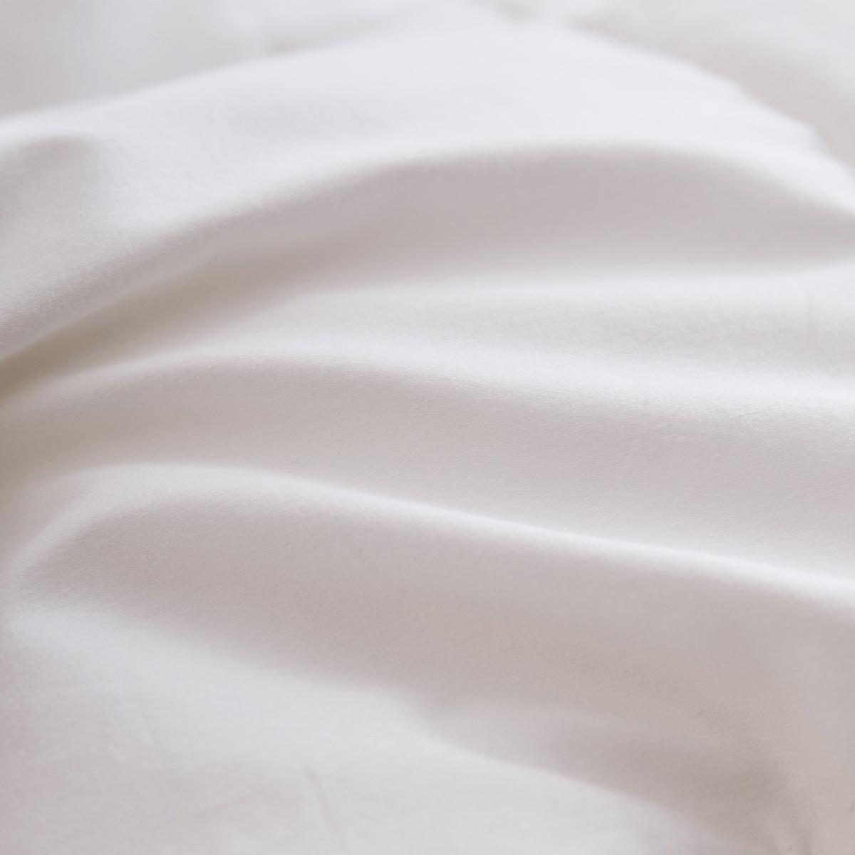 Cozy365™ Premium Down Comforter - Warmy & Tummy