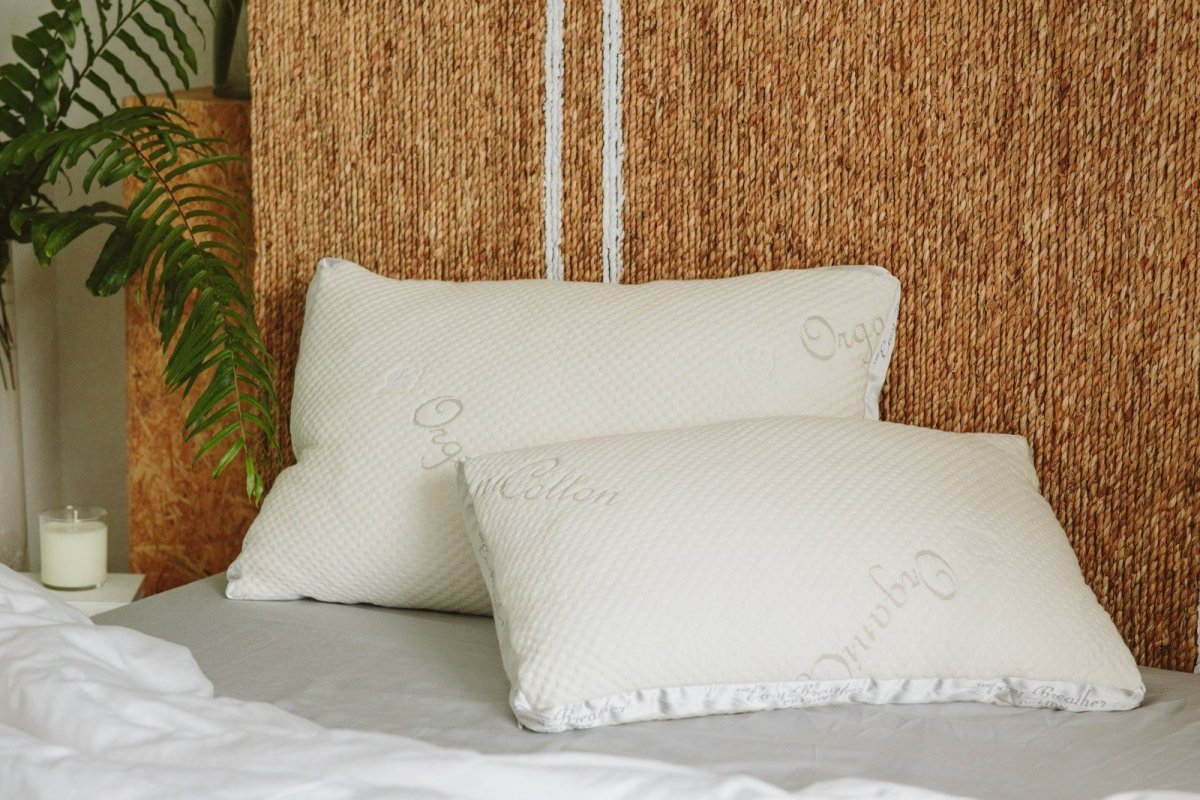 Easy Breather Natural Latex Pillow - Warmy &amp; Tummy
