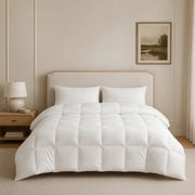 European Linen Goose Down Filled Comforter - Warmy & Tummy