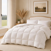 European Linen Goose Down Filled Comforter - Warmy & Tummy