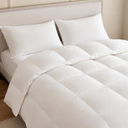 European Linen Goose Down Filled Comforter - Warmy & Tummy