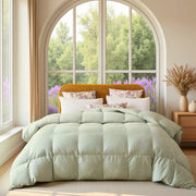 European Linen Goose Down Filled Comforter - Warmy & Tummy