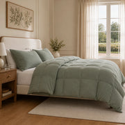 European Linen Goose Down Filled Comforter - Warmy & Tummy