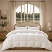 European Linen Goose Down Filled Comforter - Warmy & Tummy