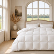 European Linen Goose Down Filled Comforter - Warmy & Tummy