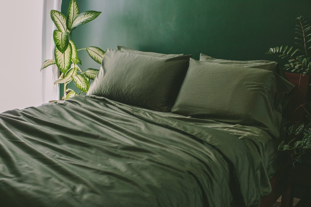 Sateen Organic Cotton Duvet Cover Set + Shams - Warmy & Tummy